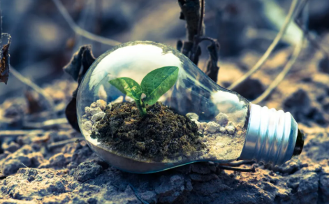 The Environmental Impact of Technology: Pros and Cons