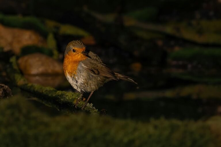 quantitative signal harmonization log